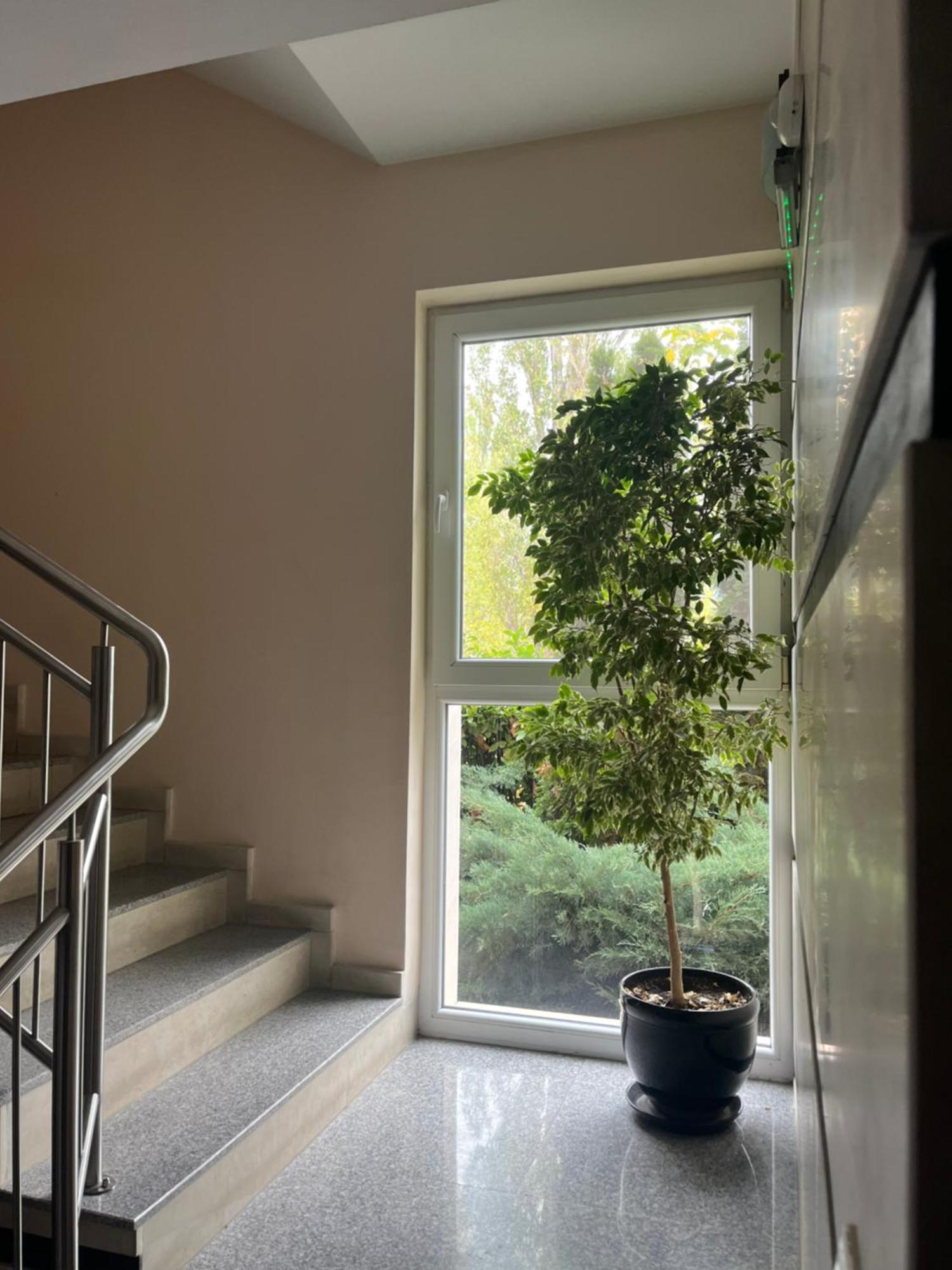 Block 531 Aparthouse Block 533 ソフィア エクステリア 写真